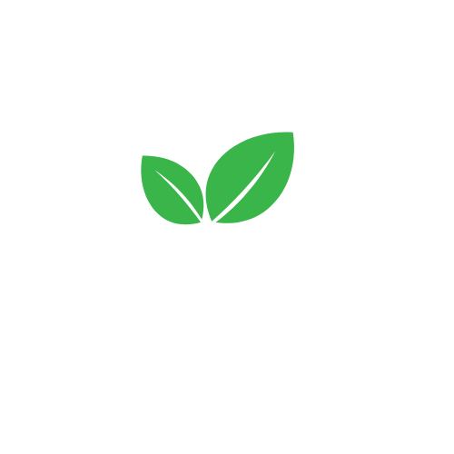 Bargaino