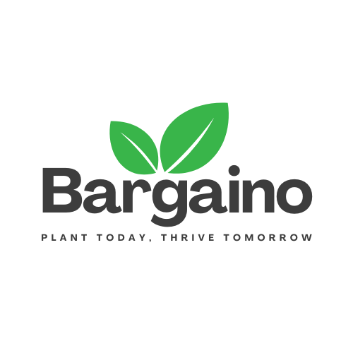 Bargaino